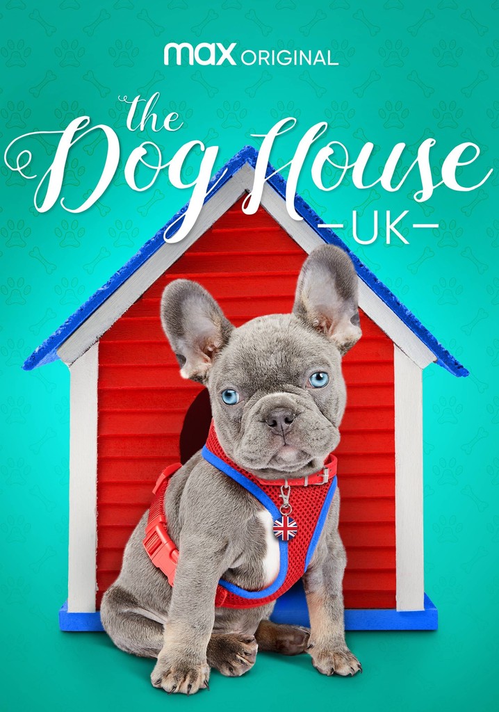 Saison 2 The Dog House streaming où regarder les épisodes?